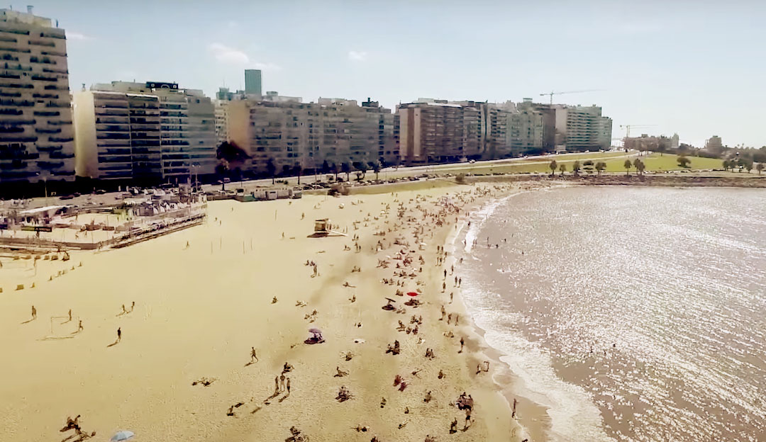 pocitos-montevideo